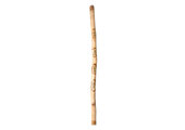Earl Clements Didgeridoo (EC455)